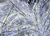 Hareline UV Polar Chenille Silver UV