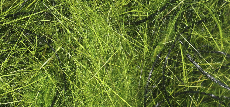 Hareline Hare'e Wiggle Dub Is Perfect When Tying Nymphs, Freshwater Flies, Saltwater Flies And Carp Flies