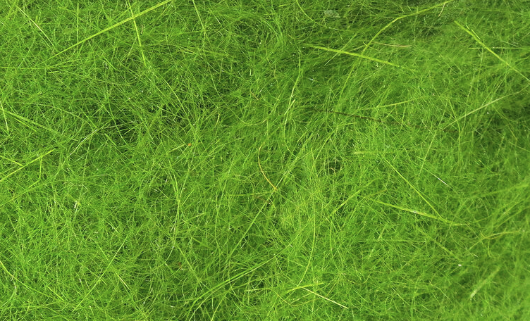 Hareline Dubbin Is Great For Tying Nymph Bodies, Wet Fly Bodies And Dry Flies