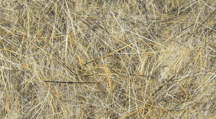 Hareline Dubbin Is Great For Tying Nymph Bodies, Wet Fly Bodies And Dry Flies