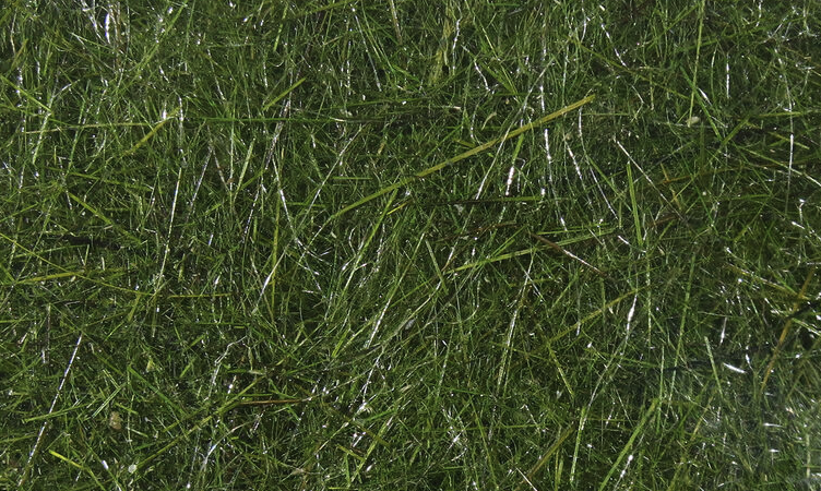 Hareline Hare's Ear Plus Makes Great Spiky Nymph Bodies