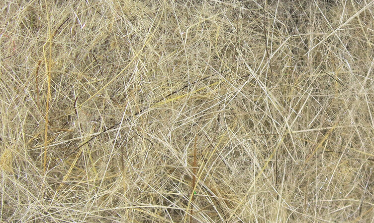 Hareline Hare's Ear Plus Makes Great Spiky Nymph Bodies