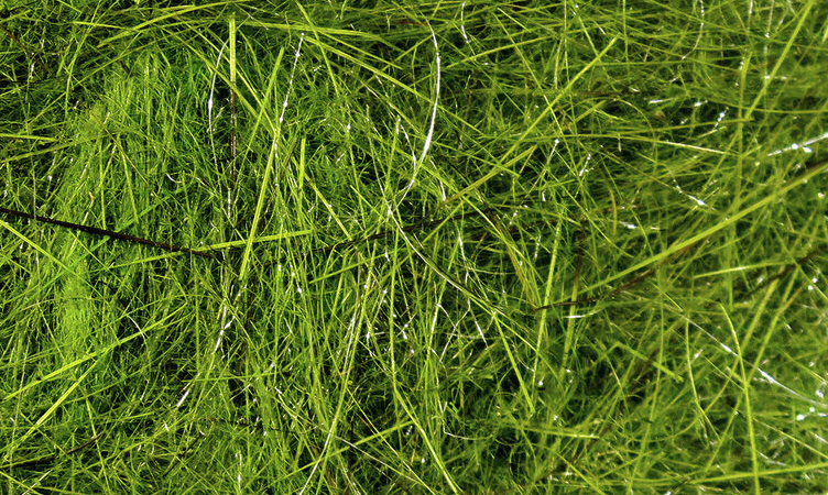 Hareline Hare's Ear Plus Makes Great Spiky Nymph Bodies