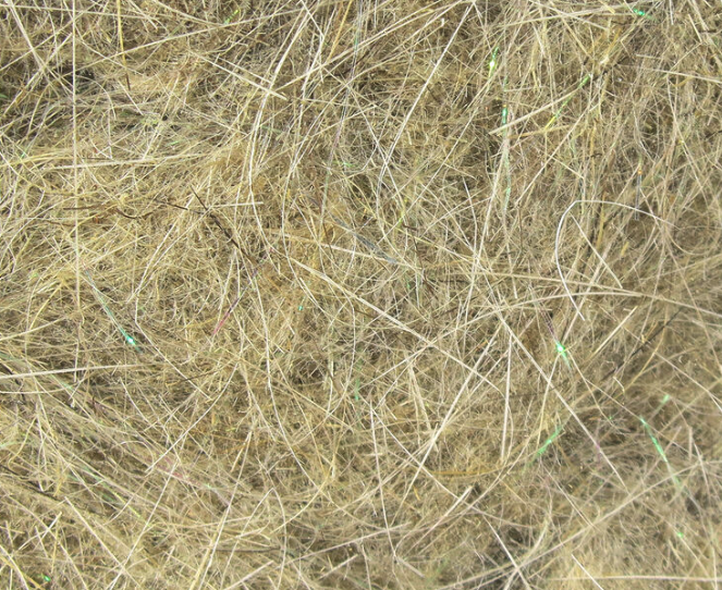 Hareline Krystal Dubbing Hares Ear