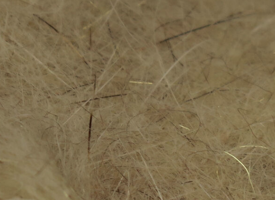 Hareline Squirrel Hair Dubbing Bleached