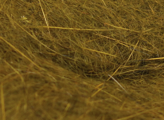 Hareline Squirrel Hair Dubbing Brown Olive