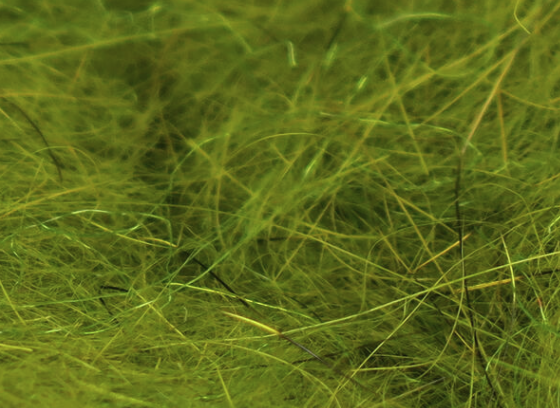 Hareline Squirrel Hair Dubbing Olive