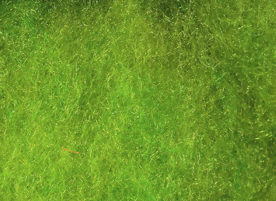 Hareline Superfine Dry Fly Dubbing Caddis Green