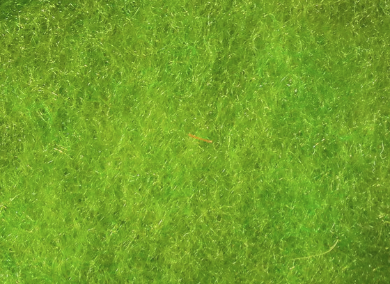 Hareline Superfine Dry Fly Dubbing Chartreuse