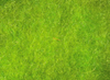 Hareline Superfine Dry Fly Dubbing Chartreuse