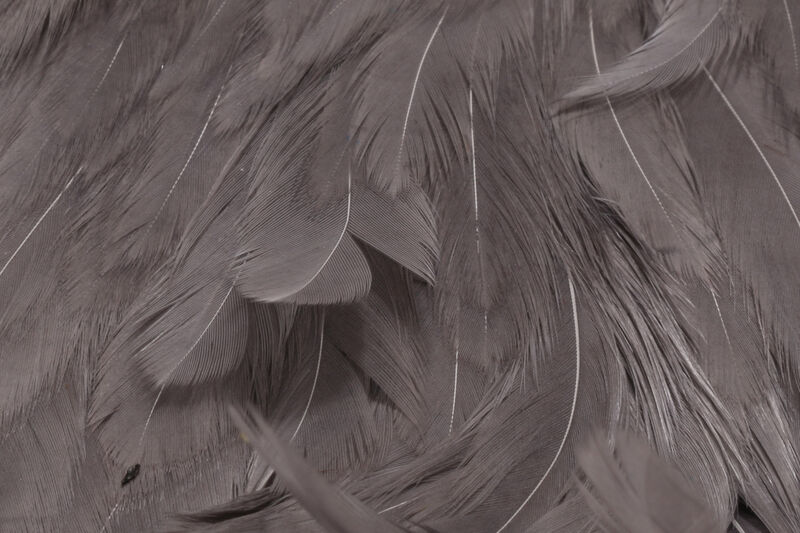 Medium Dun dyed  Hareline Hen Cape for fly tying