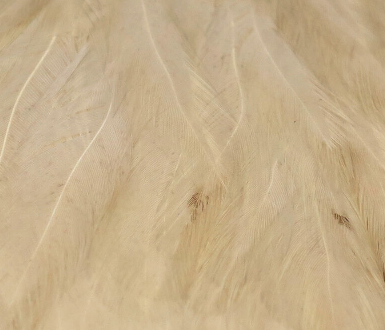 Hareline Hen Cape Work Great When Tying Soft Hackle Flies And For Tying Wings On Nymphs