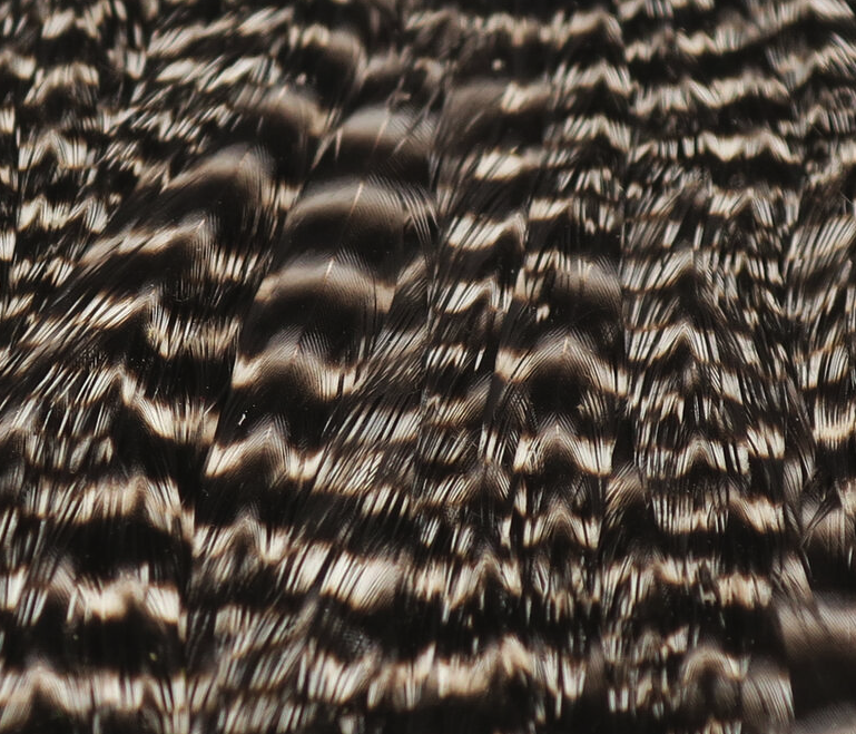 Hareline Hen Cape Work Great When Tying Soft Hackle Flies And For Tying Wings On Nymphs