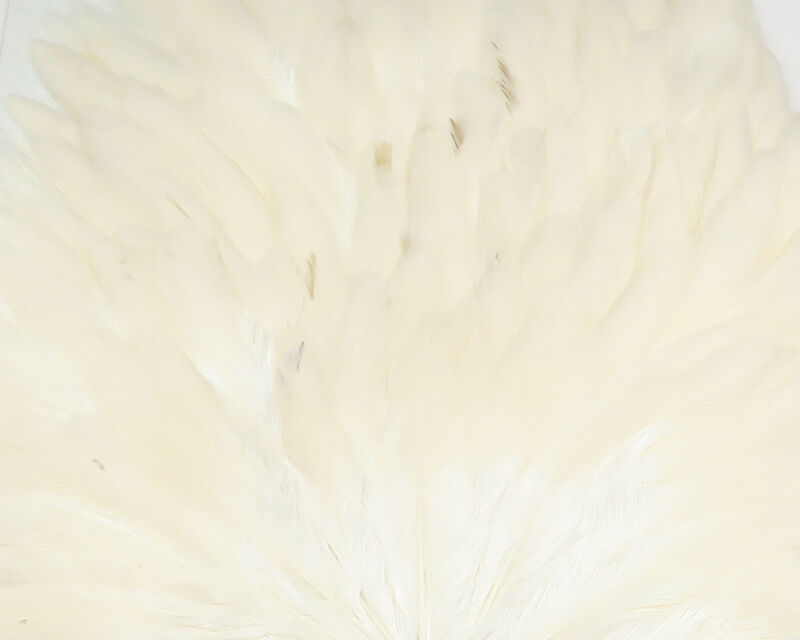 Hareline Hen Saddle, ideal feathers for crafting wet flies and enhancing streamers.