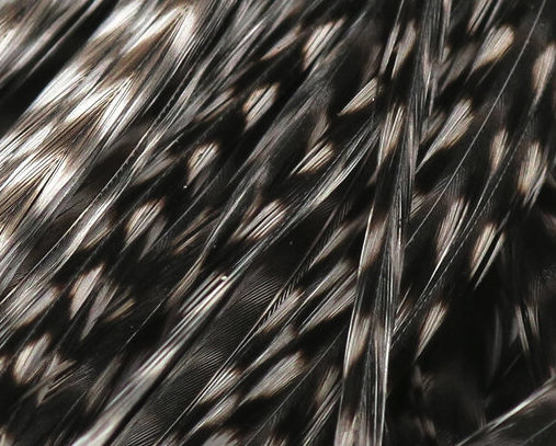 Keough Half Grizzly Saddles Grade #1 Dun