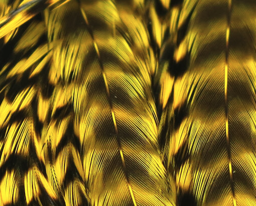 Keough Half Grizzly Saddles Grade #1 Yellow