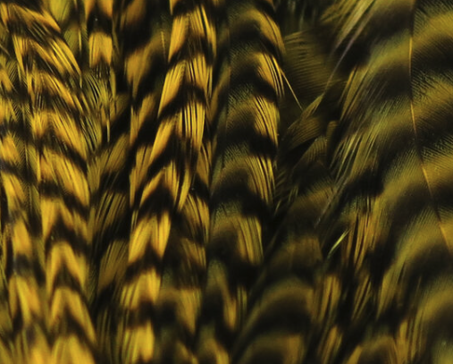 Bright yellow half saddle for fly tying, perfect for creating eye-catching musky flies available for sale