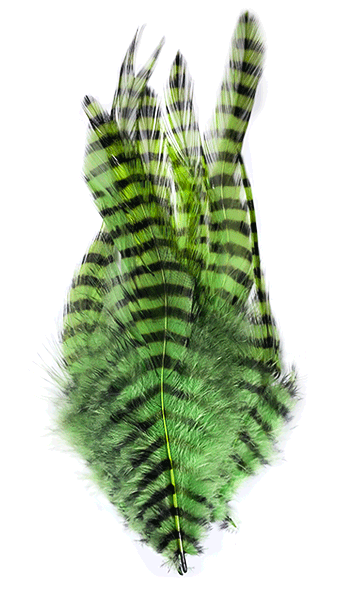 MFC Barred Saddle Hackle Fly Tying Feathers  Chartreuse