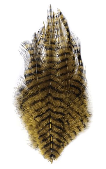 MFC Barred Saddle Hackle Fly Tying Feathers  Olive