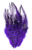 MFC Barred Saddle Hackle Fly Tying Feathers  Purple