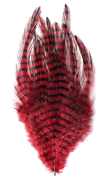 MFC Barred Saddle Hackle Fly Tying Feathers  Red