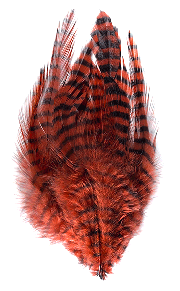 MFC Barred Saddle Hackle Fly Tying Feathers  Rust