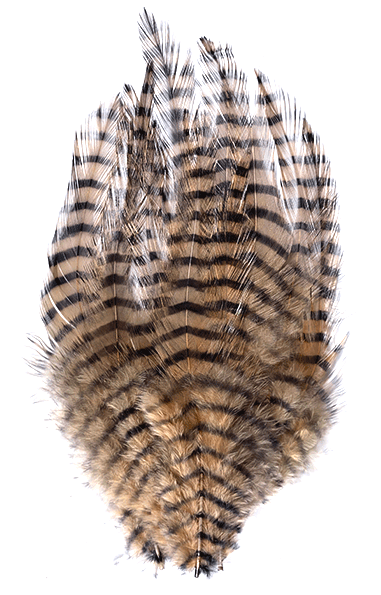 MFC Barred Saddle Hackle Fly Tying Feathers  Tan