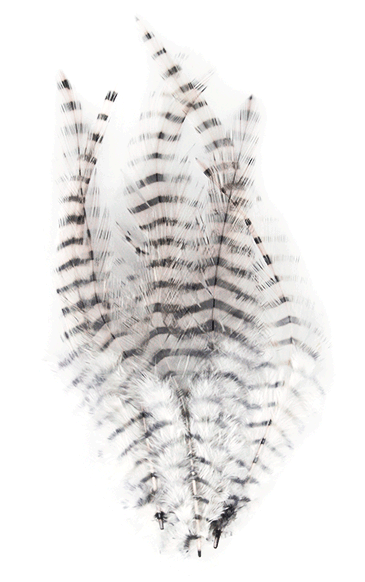 MFC Barred Saddle Hackle Fly Tying Feathers  White