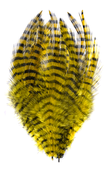 MFC Barred Saddle Hackle Fly Tying Feathers  Yellow