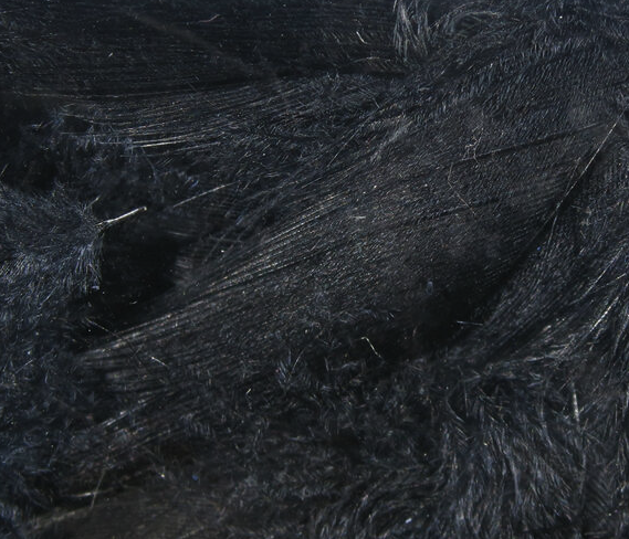 Hareline Mallard Flank Black