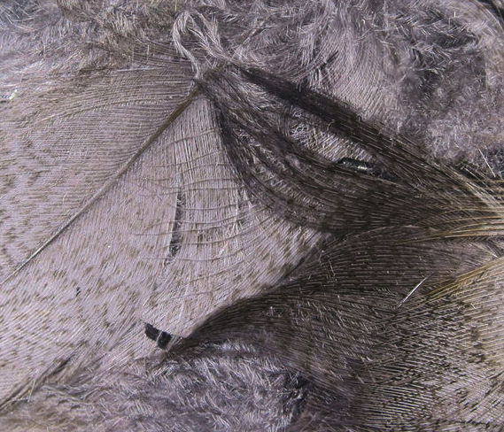 Hareline Mallard Flank Medium Dun'