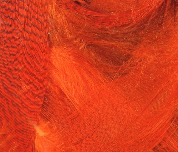 Hareline Mallard Flank Orange