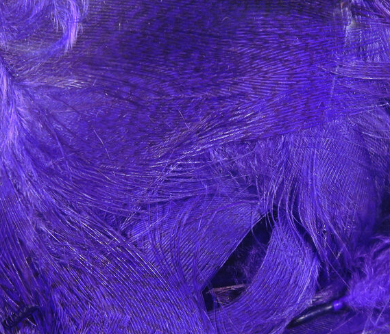Hareline Mallard Flank Purple