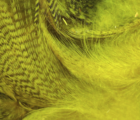 Hareline Mallard Flank Yellow
