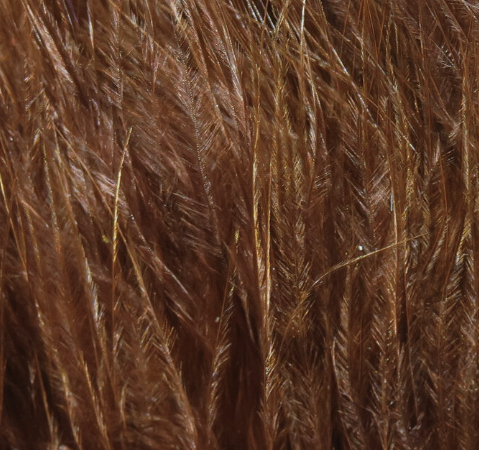 Hareline Marabou X-Select Brown