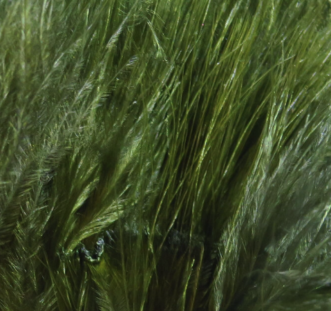 Hareline Marabou X-Select Dark Olive