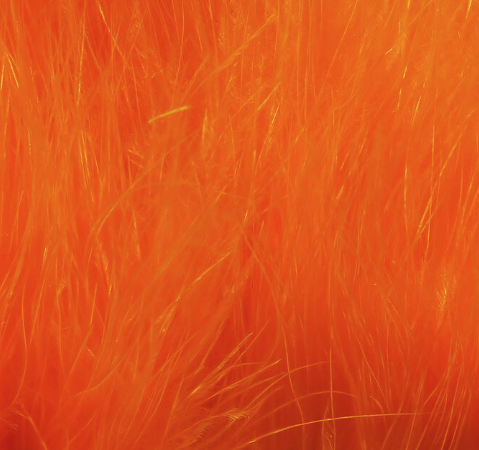 Fly tier marabou quills for collars and tails