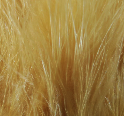 Vibrant dyed marabou blood quills for custom flies