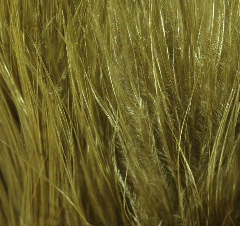 Hareline Marabou X-Select Olive Brown