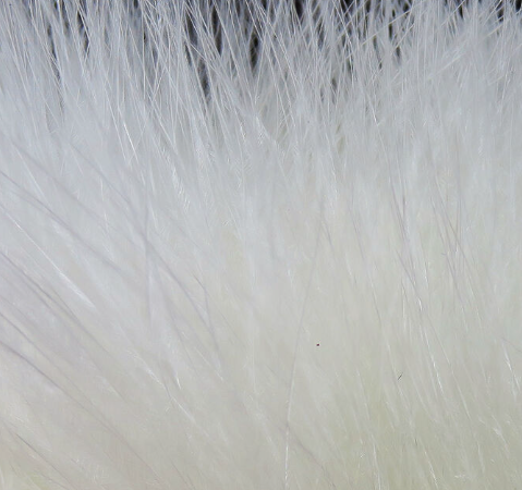 Hareline Marabou X-Select White