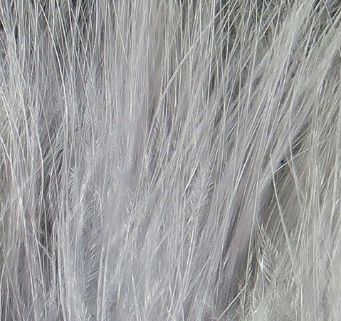 Hareline Marabou X-Select Grey Minnow