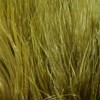 Hareline marabou feathers for fly tying streamers