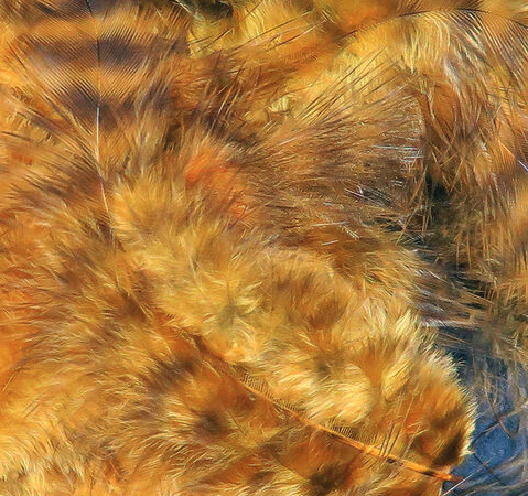 Hareline Marabou Grizzly Mini Golden Brown