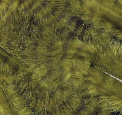 Hareline Marabou Grizzly Mini Olive