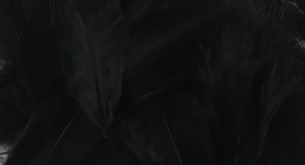 Hareline Mini Marabou Black