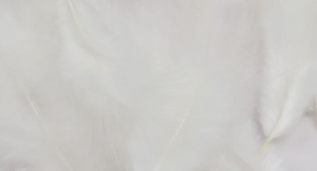 Hareline Mini Marabou White