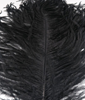 Hareline Ostrich Herl Black