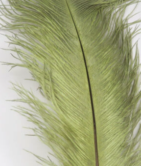 Hareline Ostrich Herl Scud Grey Olive