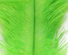 Hareline Ostrich Marabou Chartreuse