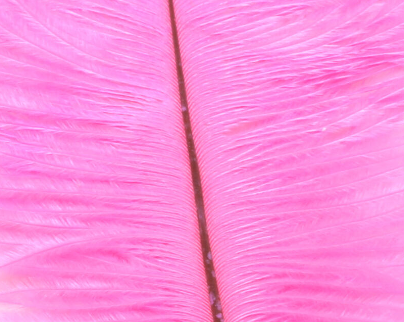Hareline Ostrich Marabou Hot Pink